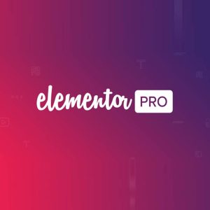 Elementor Pro Access (Shared License) – মাত্র ৫০ টাকা!